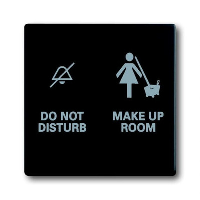 ABB Black 2 Gang Light Switch Cover