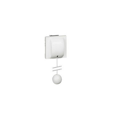 Legrand White, 2 Way, Mosaic