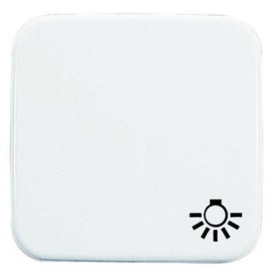 Busch Jaeger - ABB White Light Switch Cover