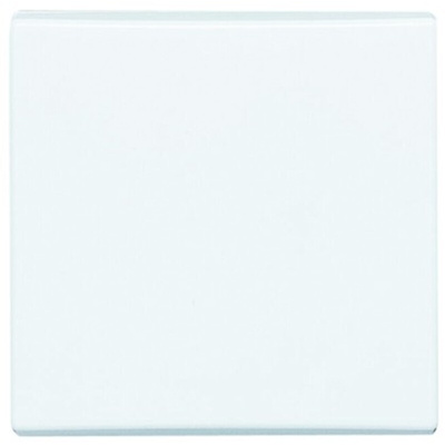 Busch Jaeger - ABB White 1 Gang Blanking Plate