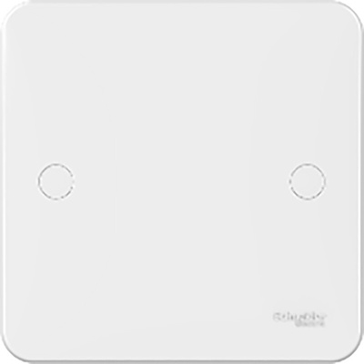 Schneider Electric White 1 Gang Blanking Plate