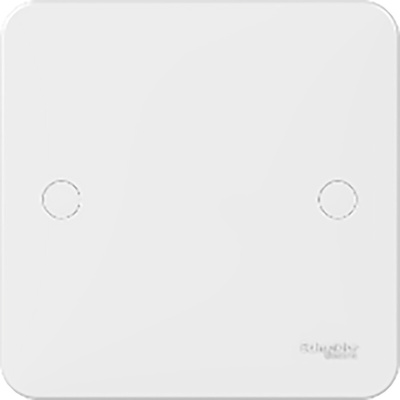 Schneider Electric White 1 Gang Blanking Plate