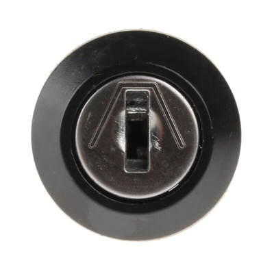 IP67 Key Switch, SPDT, 3 A@ 50 V dc, 5 A@ 115 V ac 2-Way Common-Key