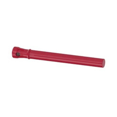 Siemens, Red ID key