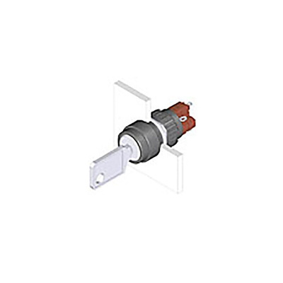 IP65 Keylock Switch, NC/NO, 5 A 2-Way Standard-Key