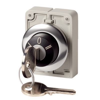 IP64 Keylock Switch 3-Way Ronis-Key