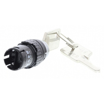 IP65 (Front); IP40 (Rear) Key Switch, 5 A @ 250 V ac 2-Way