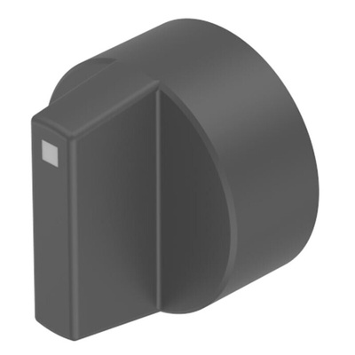 EAO 2 Position Selector Switch Head