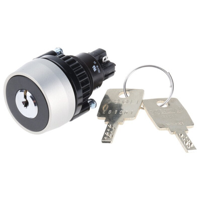 IP65 Keylock Switch, 1NC+1NO, 5 A @ 250 V ac 2-Way Flat-Key