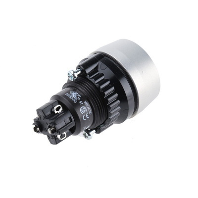 IP65 Keylock Switch, 1NC+1NO, 5 A @ 250 V ac 2-Way Flat-Key