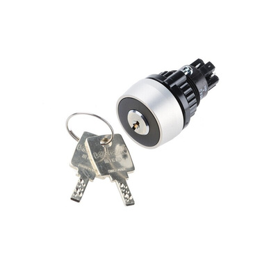 IP65 Keylock Switch, 1NC+1NO, 5 A @ 250 V ac 2-Way Flat-Key