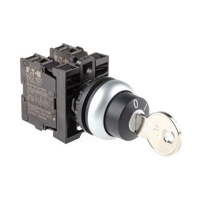 IP66 Key Switch, SPDT 2-Way