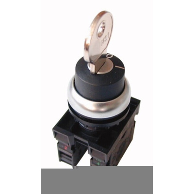 IP66 Key Switch, SPDT 2-Way