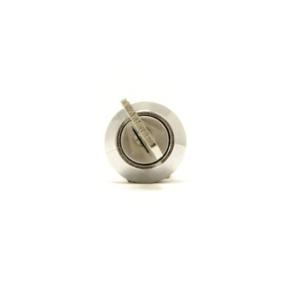 IP66, IP67 Keylock Switch, DPST, 1 A @ 115 V ac 2-Way Common-Key
