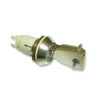 IP66, IP67 Keylock Switch, DPST, 1 A @ 115 V ac 2-Way Common-Key
