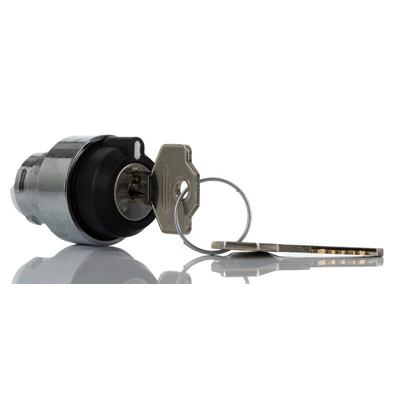 RS PRO Key Selector Switch - (1NO) 22.5mm Cutout Diameter 2 Positions
