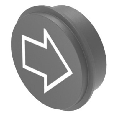 EAO Keypad Cap for 09 Series Keypads