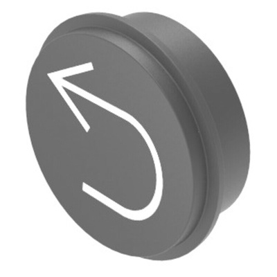 EAO Keypad Cap for 09 Series Keypads