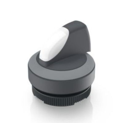 RAFI Knob Selector Switch - 29.8mm Cutout Diameter, Illuminated 1 Positions