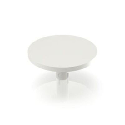 RAFI MICON 5 Series Plunger for Use with Tactile Switches