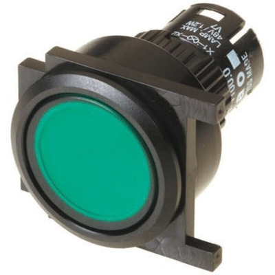 EAO Green Momentary Push Button Head, IP65