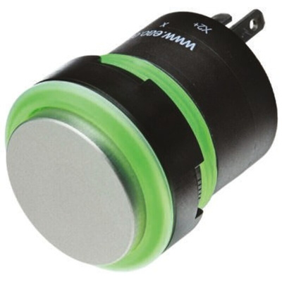 EAO Silver Illuminated Momentary Push Button Head, 22.5mm Cutout, IP67
