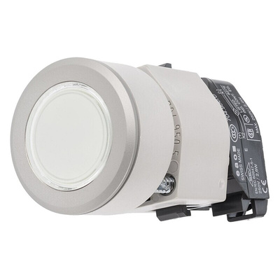 EAO Clear Momentary Push Button Head, IP65
