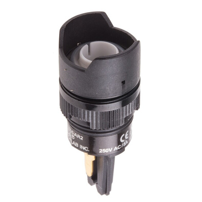 RS PRO Illuminated Push Button Switch, Latching, Panel Mount, 16mm Cutout, 250V ac, IP65