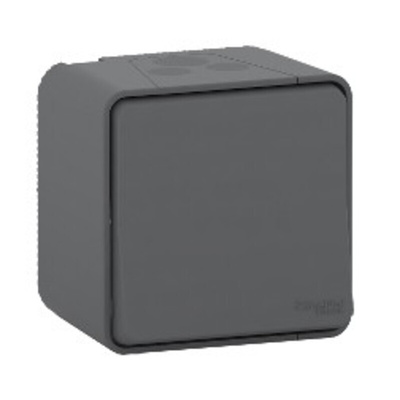 Schneider Electric Light Switch Surface Mount