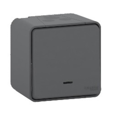 Schneider Electric Light Switch Surface Mount