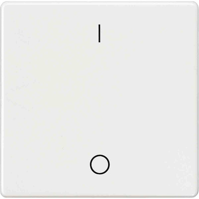 Siemens Rocker Switch