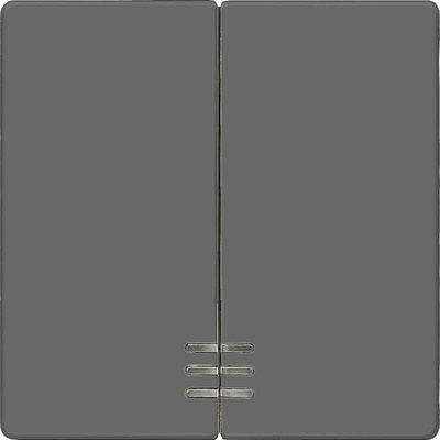Siemens Rocker Switch