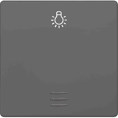 Siemens Rocker Switch