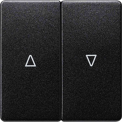 Siemens Rocker Switch