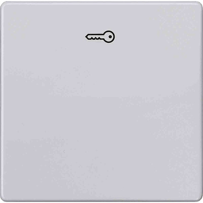 Siemens Rocker Switch