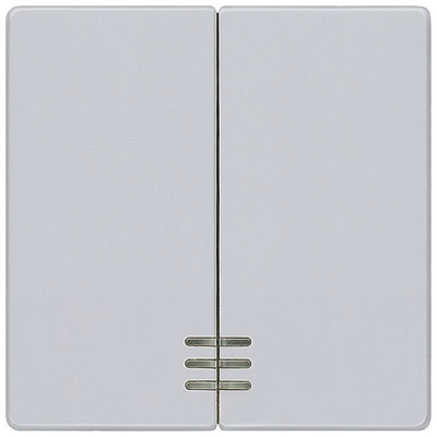 Siemens Rocker Switch