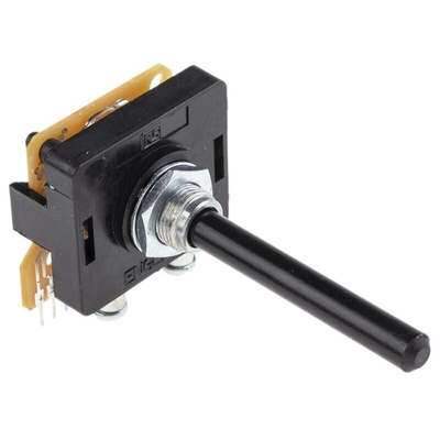 Lorlin, 2 Position Rotary Switch, 500 mA @ 250 V, Through Hole