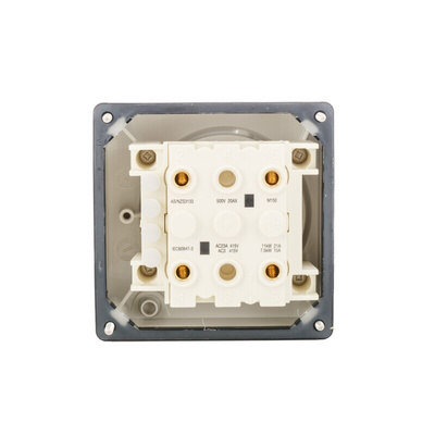 Schneider Electric 2 Pole Surface Mount Isolator Switch -, IP66