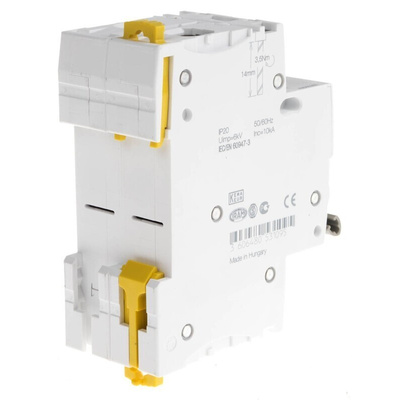Schneider Electric 2P Pole Isolator Switch - 63A Maximum Current