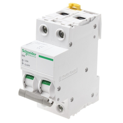 Schneider Electric 2P Pole DIN Rail Isolator Switch - 125A Maximum Current, IP20