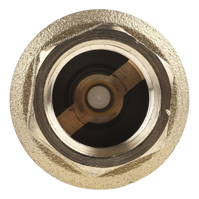 RS PRO Brass Single Check Valve, BSPP 1/2in, 12 bar