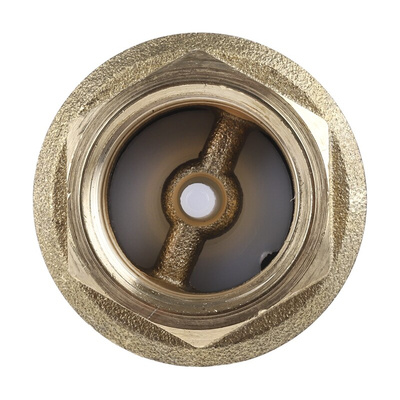 RS PRO Brass Single Check Valve, BSPP 3/4in, 12 bar