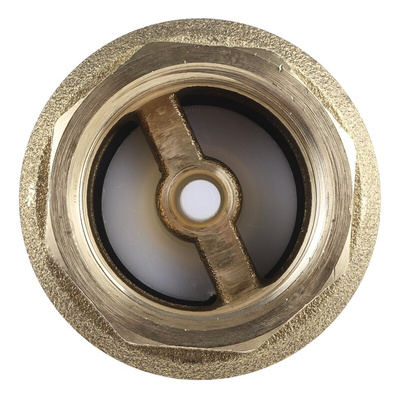 RS PRO Brass Single Check Valve, BSPP 1in, 12 bar