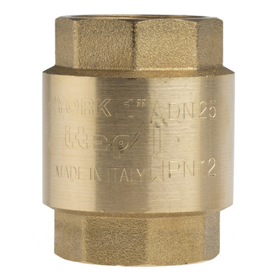 RS PRO Brass Single Check Valve, BSPP 1in, 12 bar