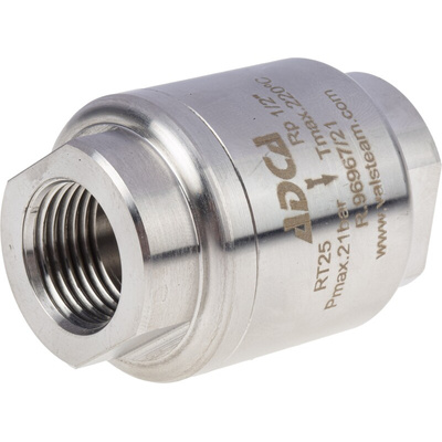 RS PRO Stainless Steel Single Non Return Valve, BSP 1/2in, 25 bar