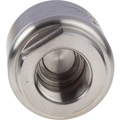 RS PRO Stainless Steel Single Non Return Valve, BSP 1/2in, 25 bar