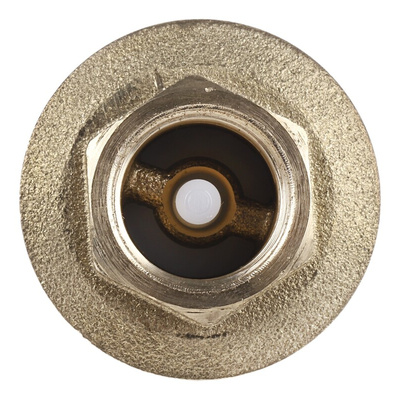 RS PRO Brass Single Check Valve, BSPP 3/8in, 12 bar
