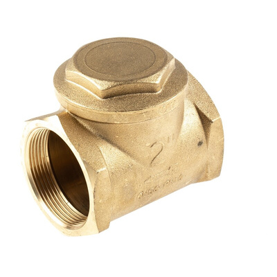 RS PRO Brass Single Check Valve, BSP 2in, 16 bar