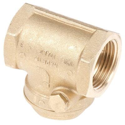 RS PRO Brass Single Non Return Valve, BSP 1in, 12 bar
