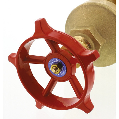 RS PRO Gate Valve, 2in